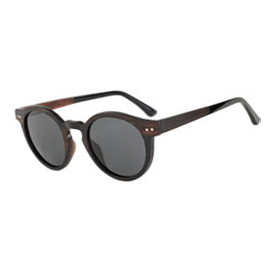 WS001-RX
